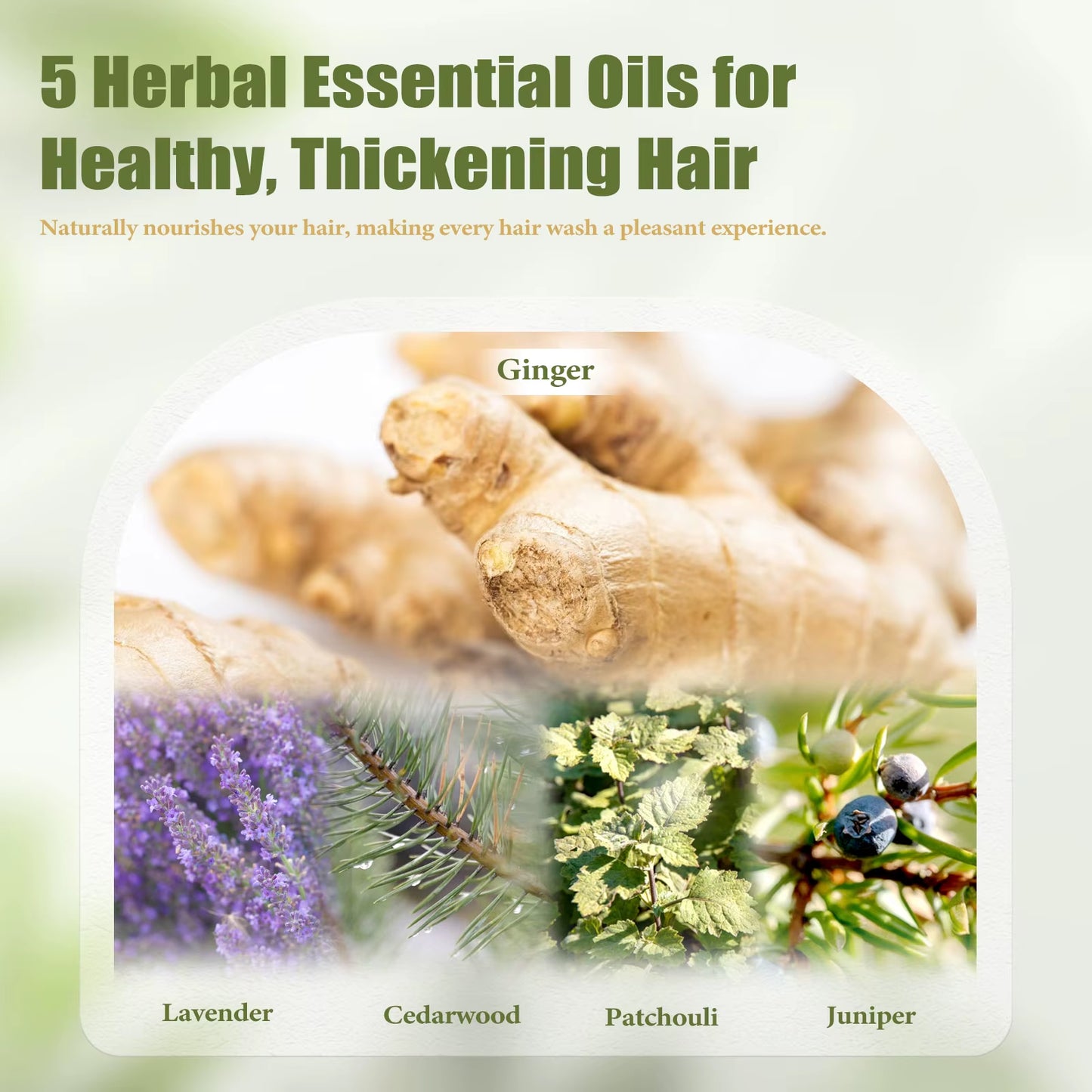 473Ml Thickening Shampoo with Herbal Essential Oil Ginger Scent for Hair Care No Silicone Oil Gentle