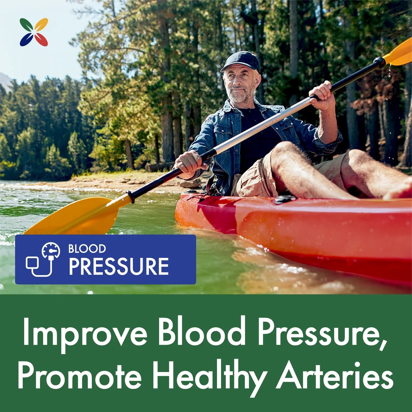 - Olipure BP Blood Pressure Support - Olive Leaf Extract with Celery & Magnesium - Blood Circulation, Blood Vessels & Blood Flow Supplement - 60 Vcaps