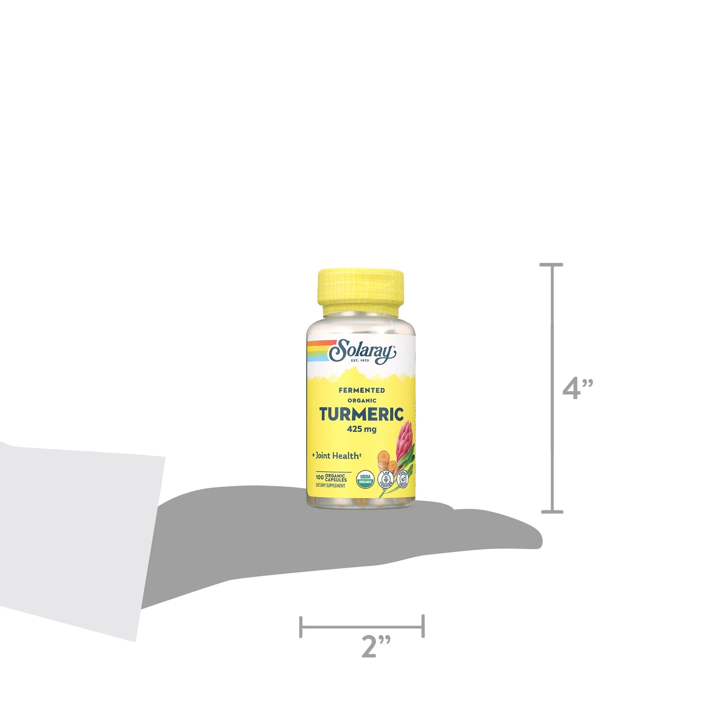 Fermented Turmeric Root 500Mg | 100 Vegcaps