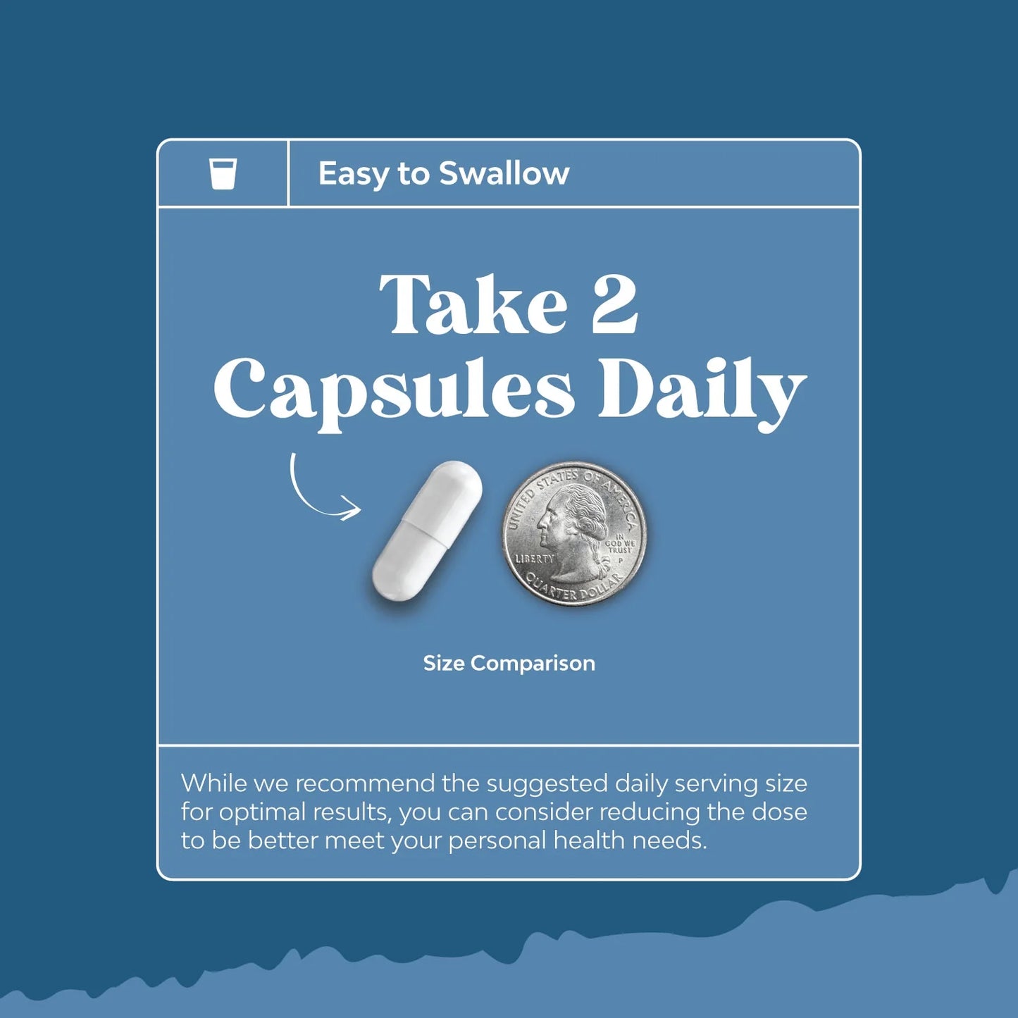 Digestion Supplement Capsules with Probiotics & Oregano Leaf Extract