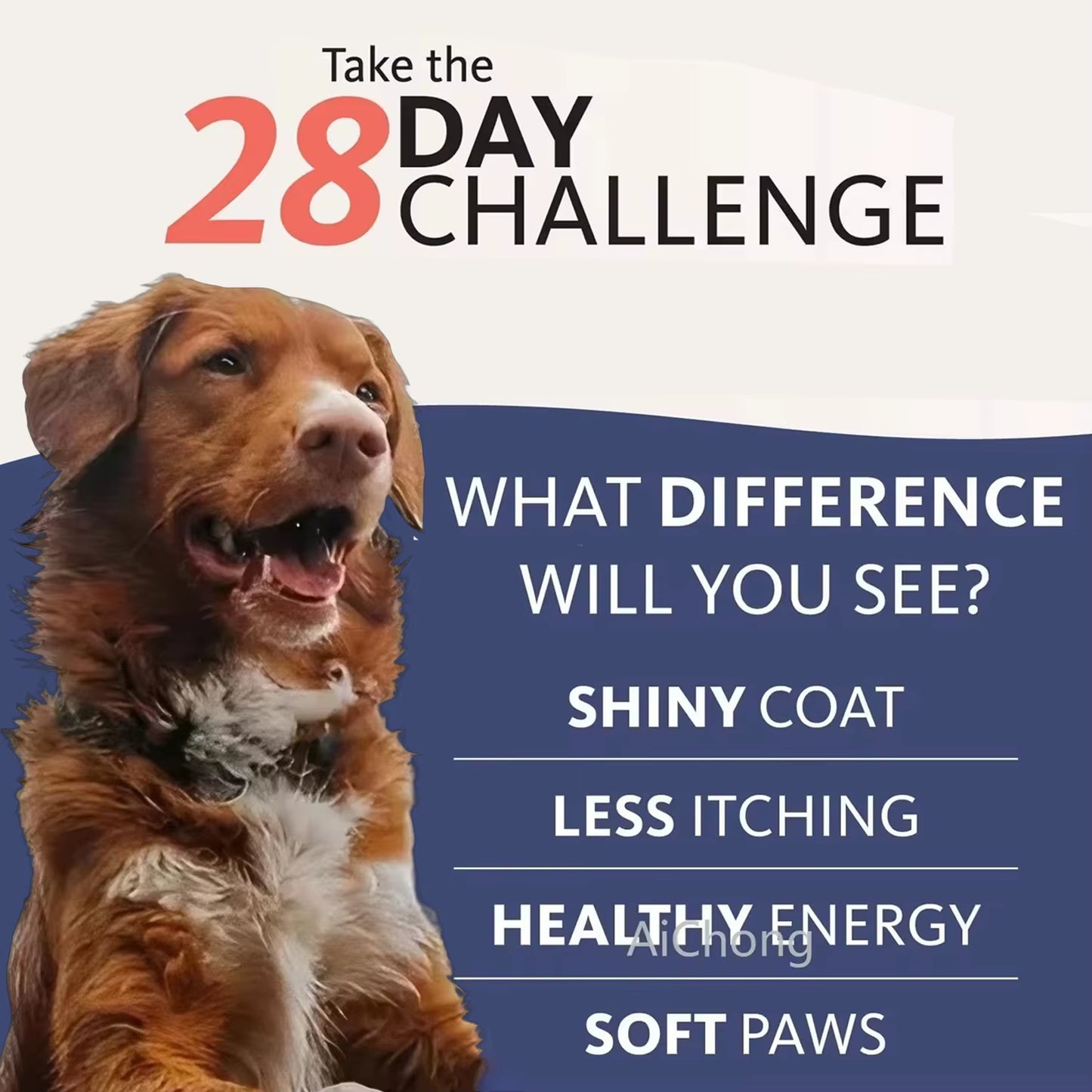 8 Fl Oz 200ML PET SALMON OIL Natural No Chemical Treatment 21 Omega Fatty Acids Nutritional Supplements for Dogs and Cats