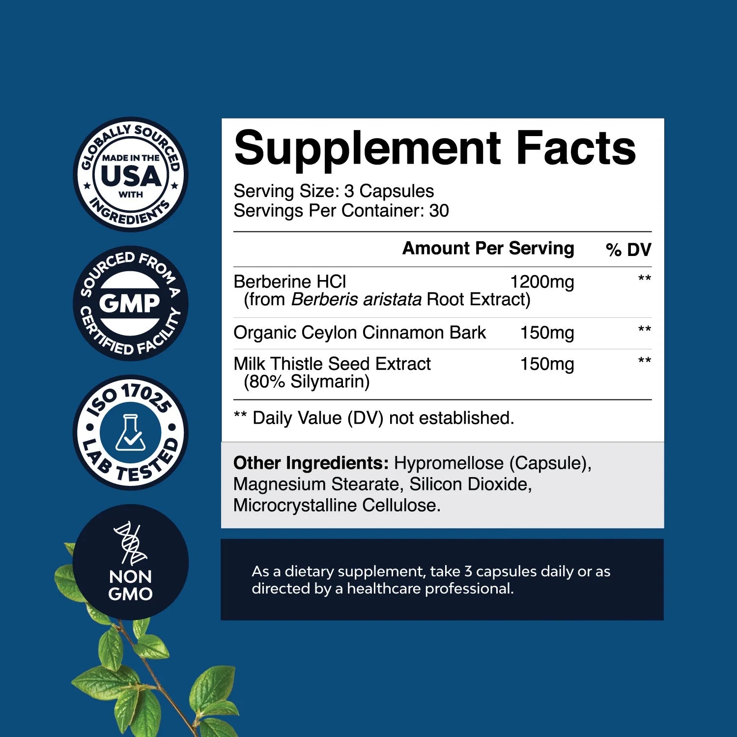 Balancing Berberine plus 1200Mg Complex per Serving - Antioxidant Berberine with Ceylon Cinnamon plus Silymarin Milk Thistle Extract - Active PK for Heart Health and Sugar Support 90 Veggie Capsules