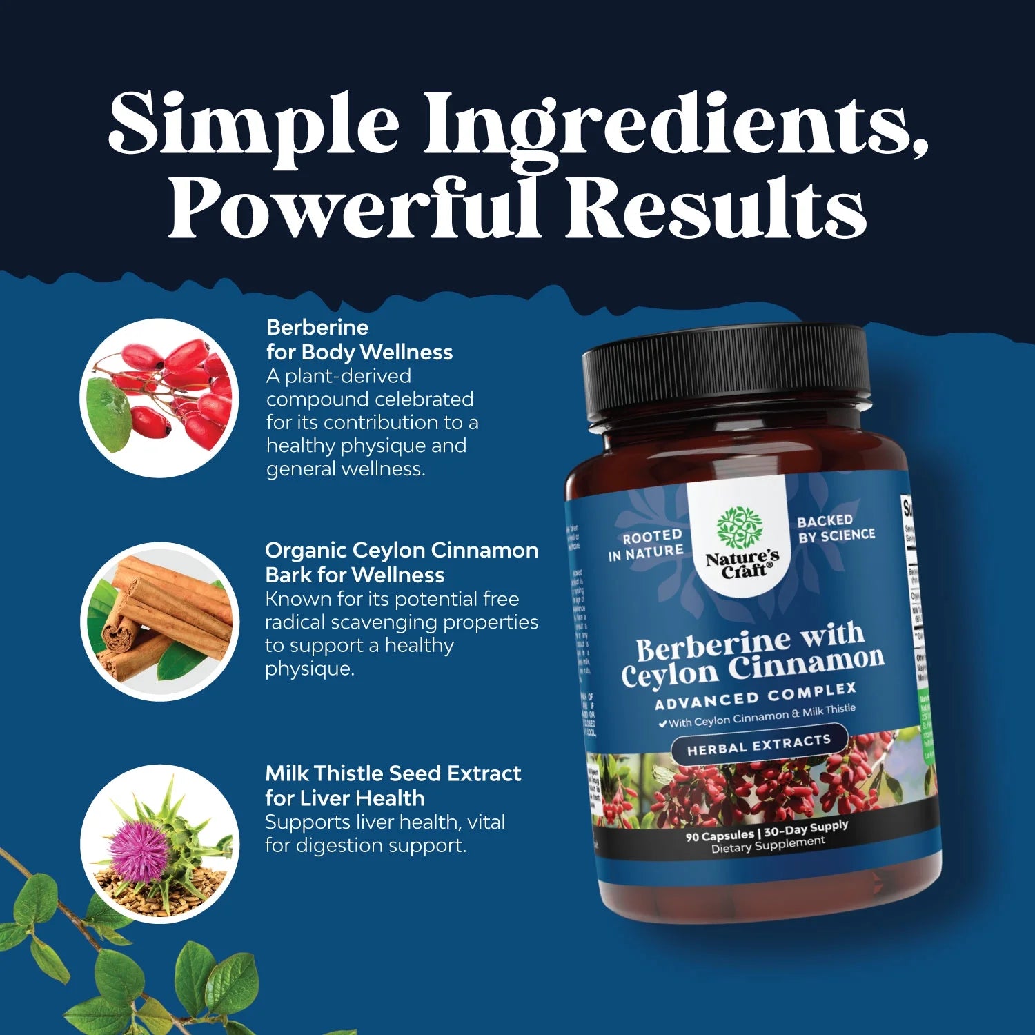 Balancing Berberine plus 1200Mg Complex per Serving - Antioxidant Berberine with Ceylon Cinnamon plus Silymarin Milk Thistle Extract - Active PK for Heart Health and Sugar Support 90 Veggie Capsules