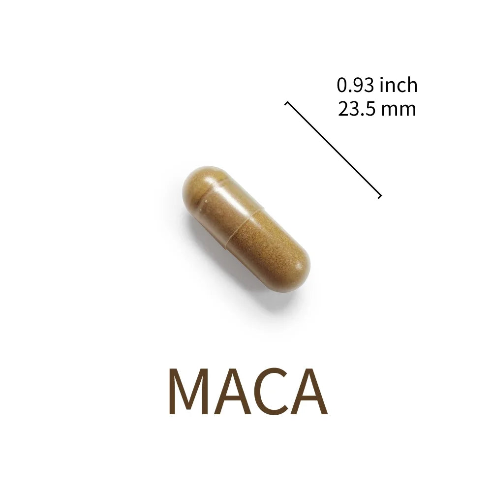 Maca Root Extract 1500Mg, Energy, Performance & Mood Supplement for Men & Women, Supports Reproductive Health, 60 Vegetarian Capsules (Pack of 3)