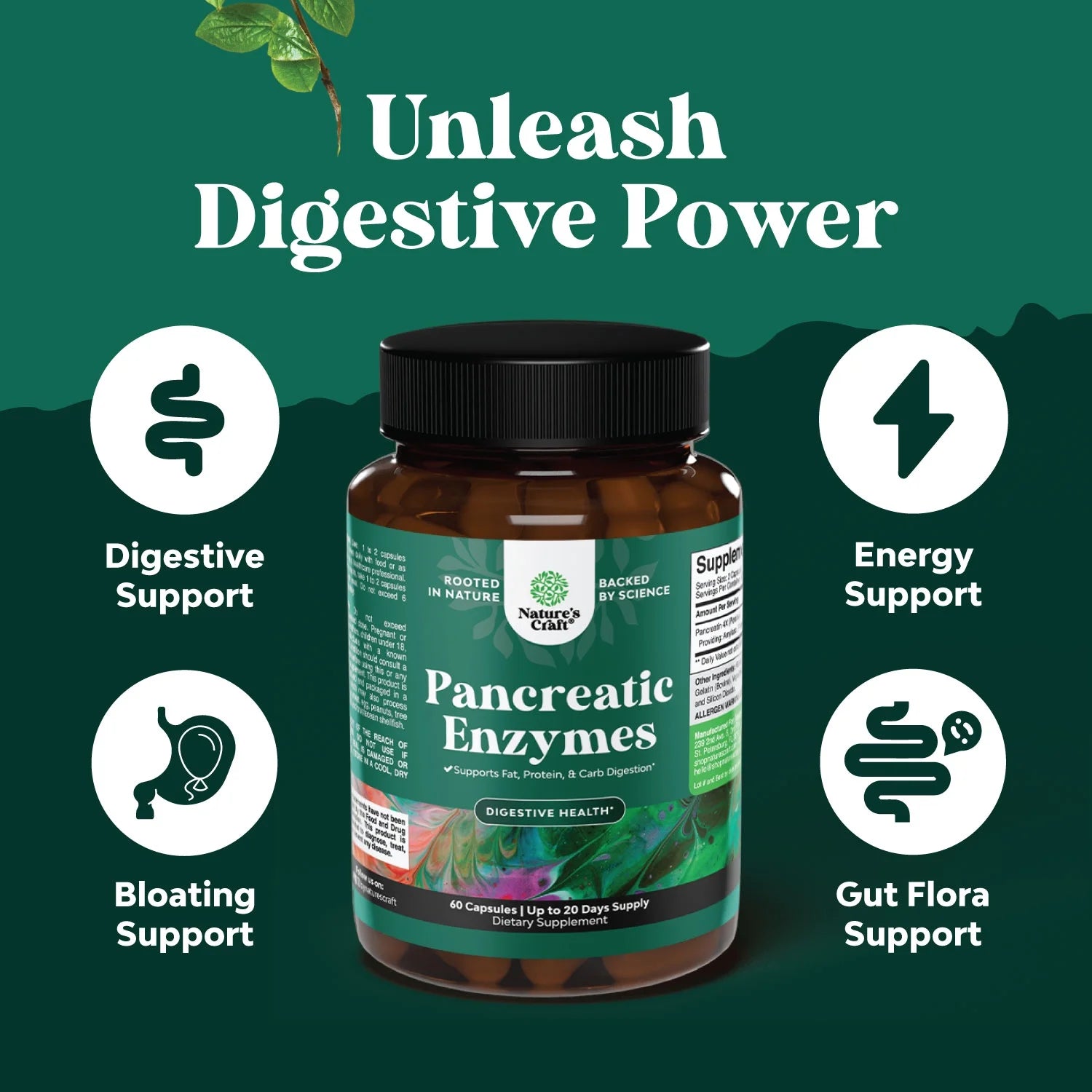 Pancreatin Digestive Enzymes for Digestive Health - Pancreatic Enzymes for Humans with Fat Carb and Protein Digestive Enzymes for Women and Men - Protease Amylase & Lipase Enzymes for Digestion