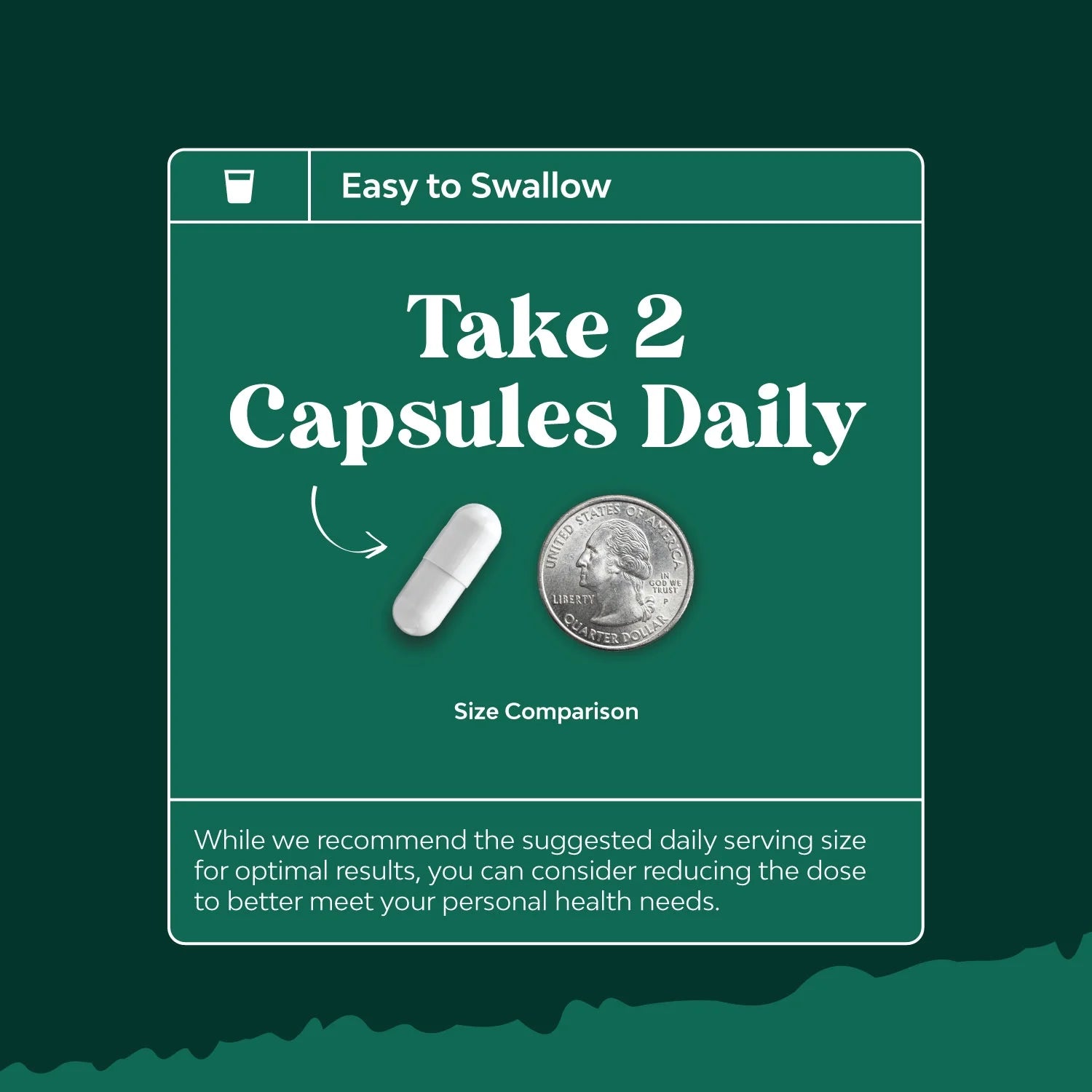 Pancreatin Digestive Enzymes for Digestive Health - Pancreatic Enzymes for Humans with Fat Carb and Protein Digestive Enzymes for Women and Men - Protease Amylase & Lipase Enzymes for Digestion