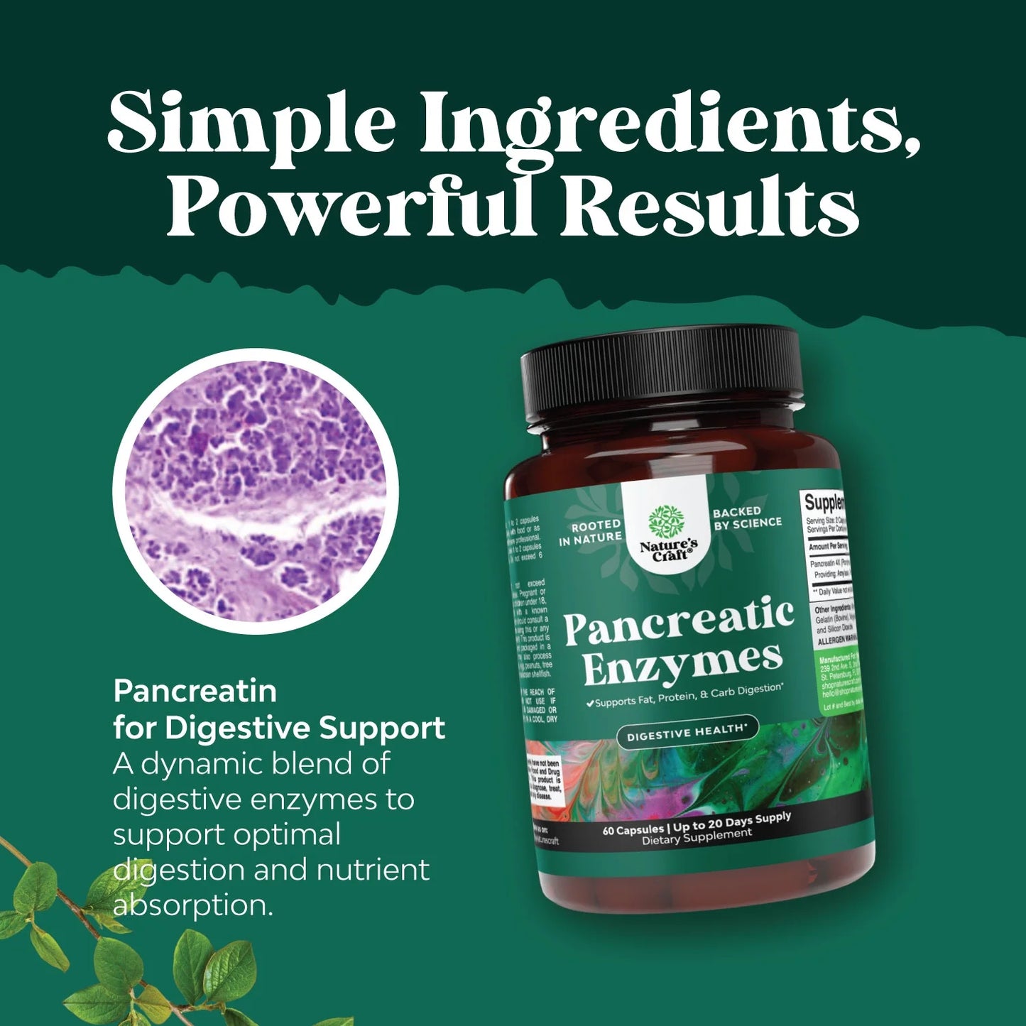 Pancreatin Digestive Enzymes for Digestive Health - Pancreatic Enzymes for Humans with Fat Carb and Protein Digestive Enzymes for Women and Men - Protease Amylase & Lipase Enzymes for Digestion