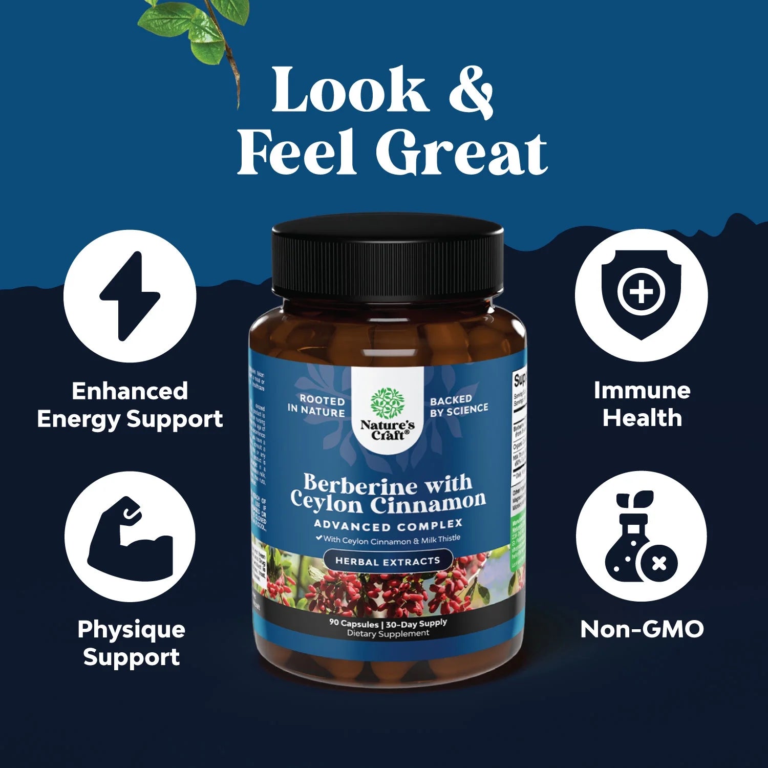 Balancing Berberine plus 1200Mg Complex per Serving - Antioxidant Berberine with Ceylon Cinnamon plus Silymarin Milk Thistle Extract - Active PK for Heart Health and Sugar Support 90 Veggie Capsules