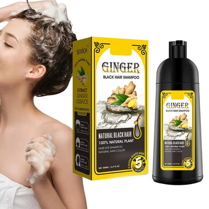 500Ml Herbal Hair Dye Black Hair Shampoo Black Hair Color Shampoo Black Hair Dye Covering White Hair Shampoo Ginger Shampoo