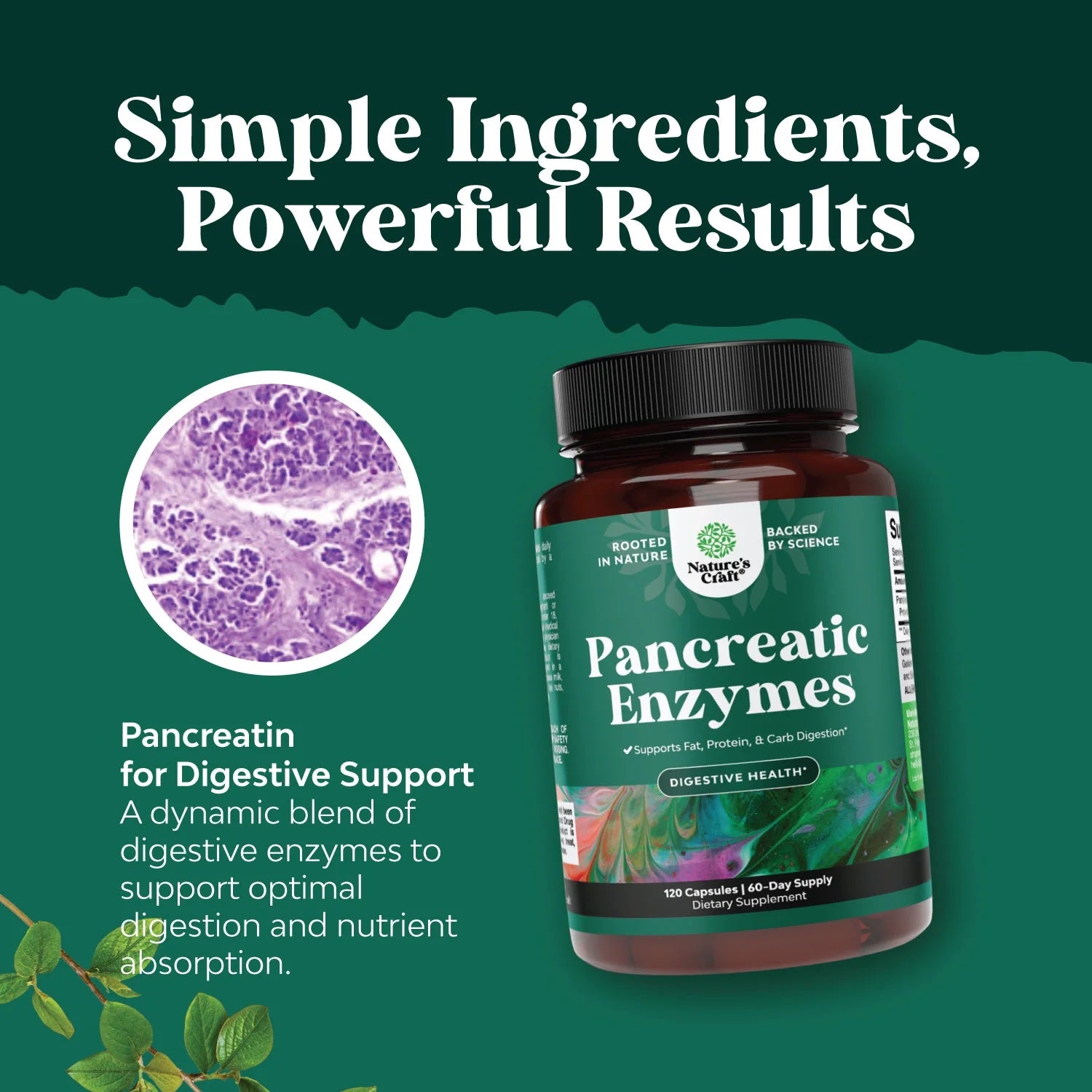 Pancreatin Digestive Enzymes for Digestive Health - Pancreatic Enzymes for Humans with Fat Carb and Protein Digestive Enzymes for Women and Men - Protease Amylase & Lipase Enzymes for Digestion