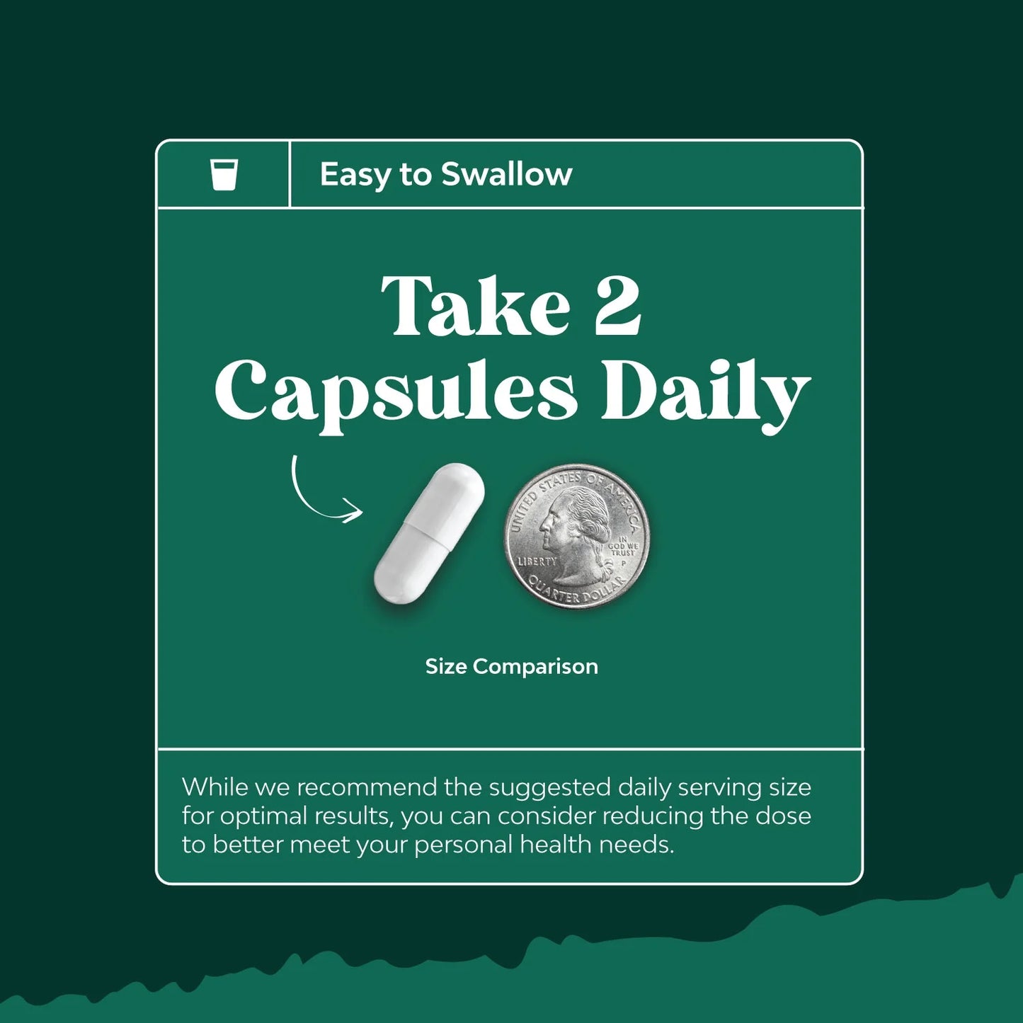 Pancreatin Digestive Enzymes for Digestive Health - Pancreatic Enzymes for Humans with Fat Carb and Protein Digestive Enzymes for Women and Men - Protease Amylase & Lipase Enzymes for Digestion