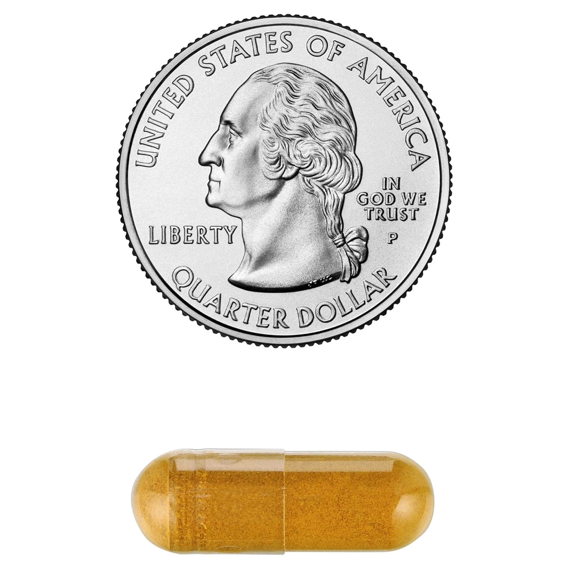 Fermented Turmeric Root 500Mg | 100 Vegcaps