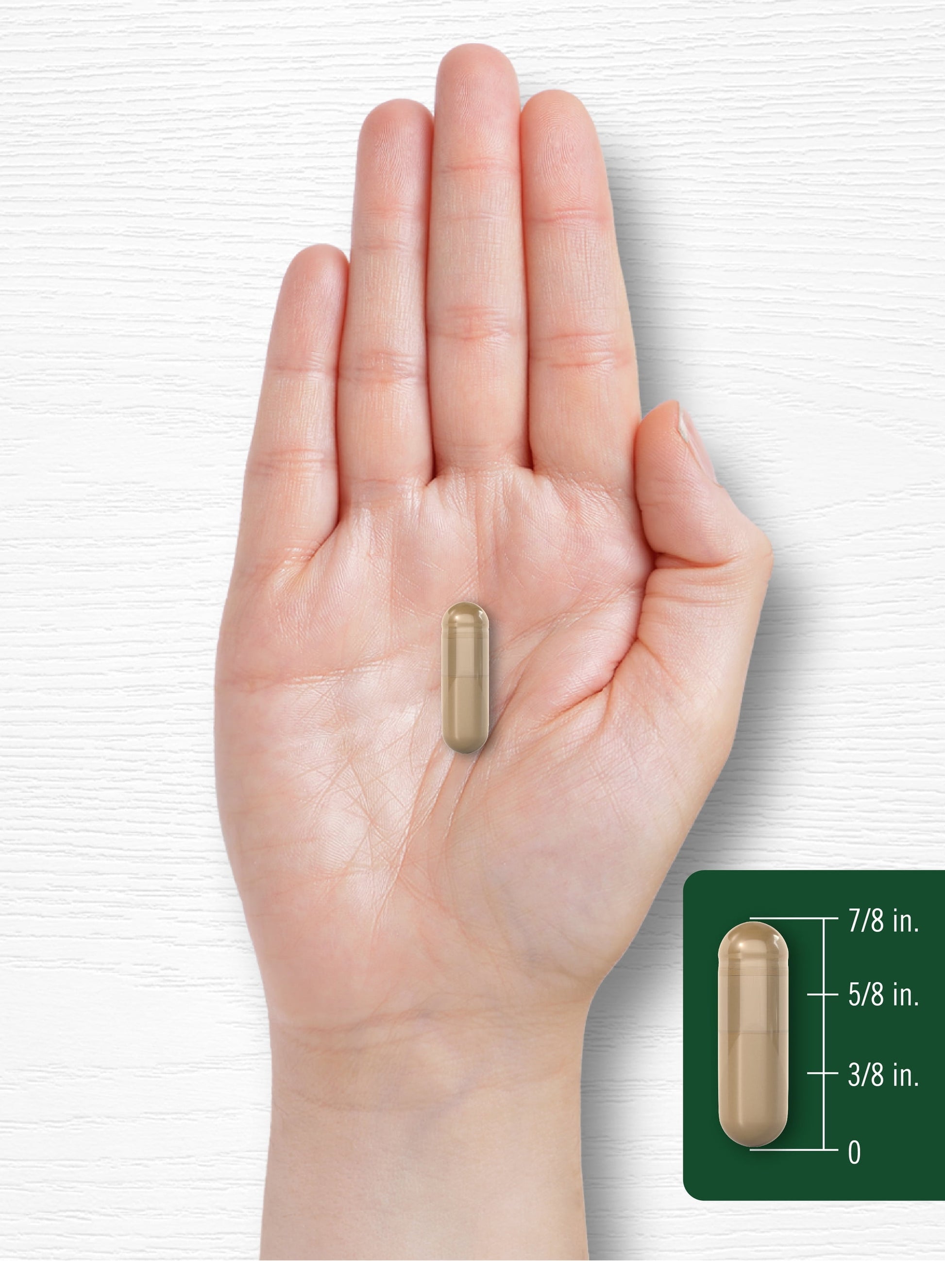Ceylon Cinnamon Capsules | 4000Mg | 120 Count | Non-Gmo and Gluten Free | by