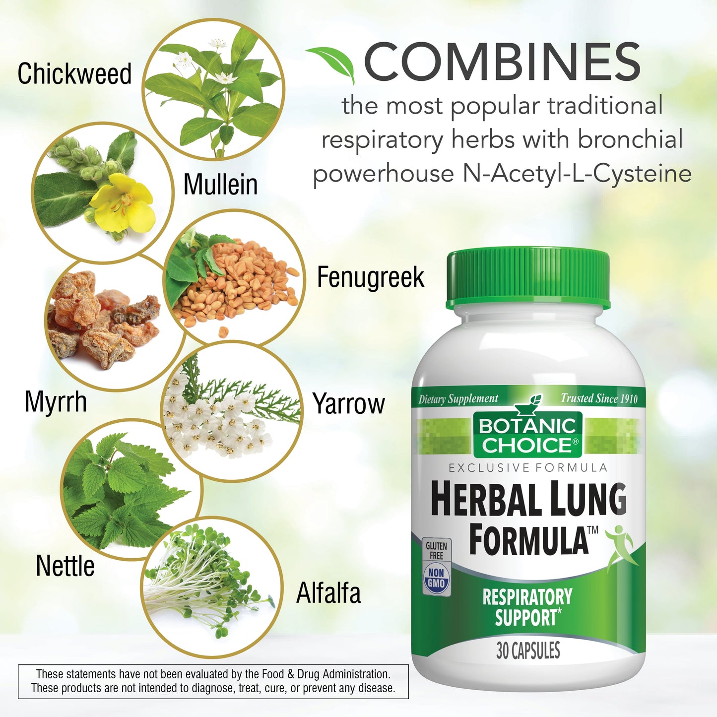 Herbal Lung Formula, 30 Ct - Lung Support Supplement