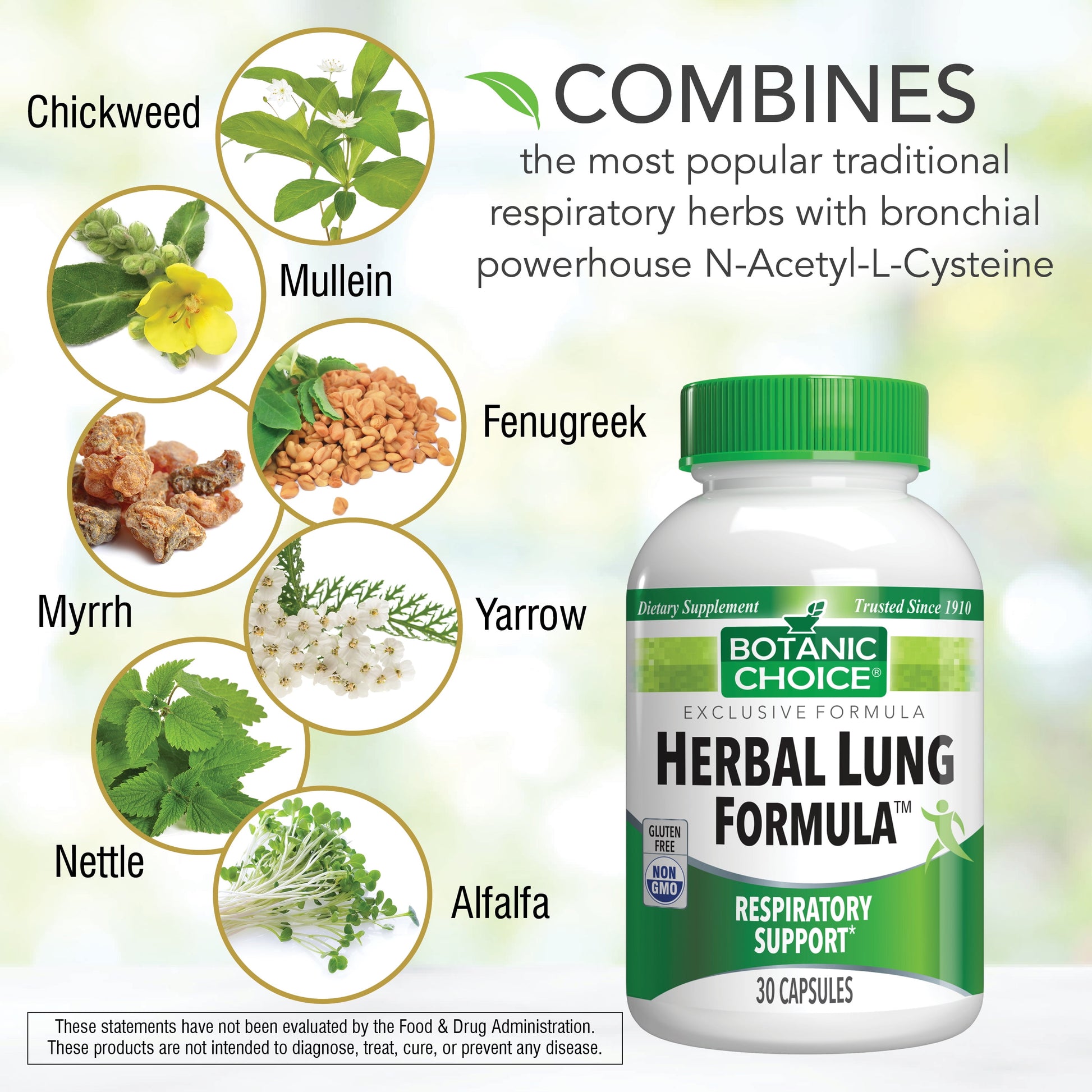 Herbal Lung Formula, 30 Ct - Lung Support Supplement