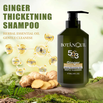 473Ml Thickening Shampoo with Herbal Essential Oil Ginger Scent for Hair Care No Silicone Oil Gentle