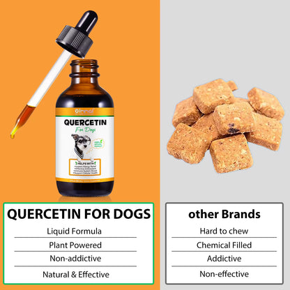 Quercetin for Dogs Help with Instant Allergy Relief Effect Antioxidant Immune System Boost Support Cellular Health Bacon Flavor