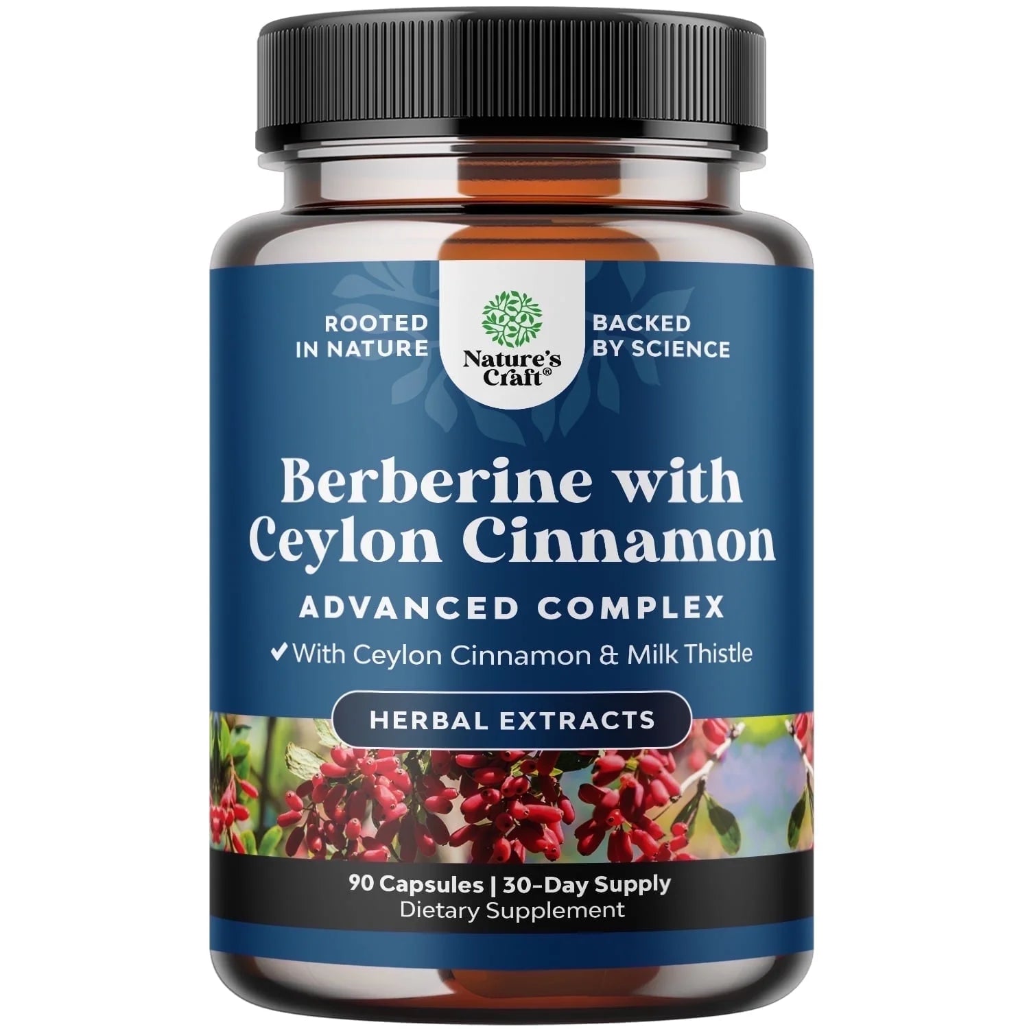 Balancing Berberine plus 1200Mg Complex per Serving - Antioxidant Berberine with Ceylon Cinnamon plus Silymarin Milk Thistle Extract - Active PK for Heart Health and Sugar Support 90 Veggie Capsules