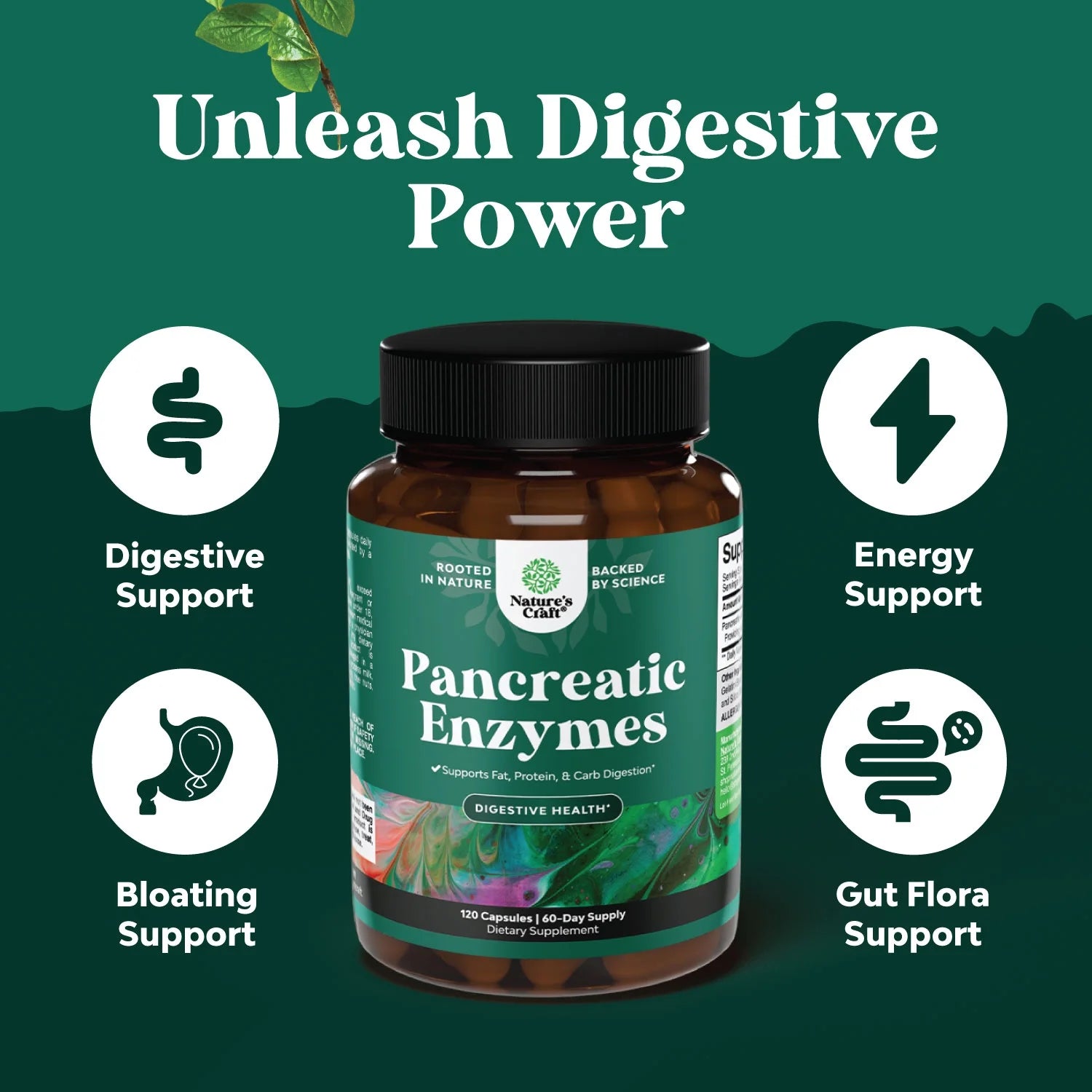 Pancreatin Digestive Enzymes for Digestive Health - Pancreatic Enzymes for Humans with Fat Carb and Protein Digestive Enzymes for Women and Men - Protease Amylase & Lipase Enzymes for Digestion