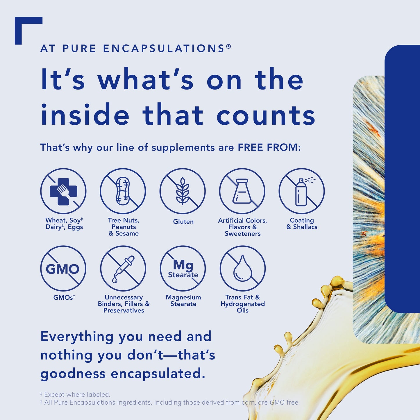 Puredefense Collagen W/ Bone Broth | Savory Bone Broth and Hydrolyzed Collagen Powder with Mushroom, Aged Garlic, and Enhanced Bioavailability Curcumin Extracts | 14.1 Ounces